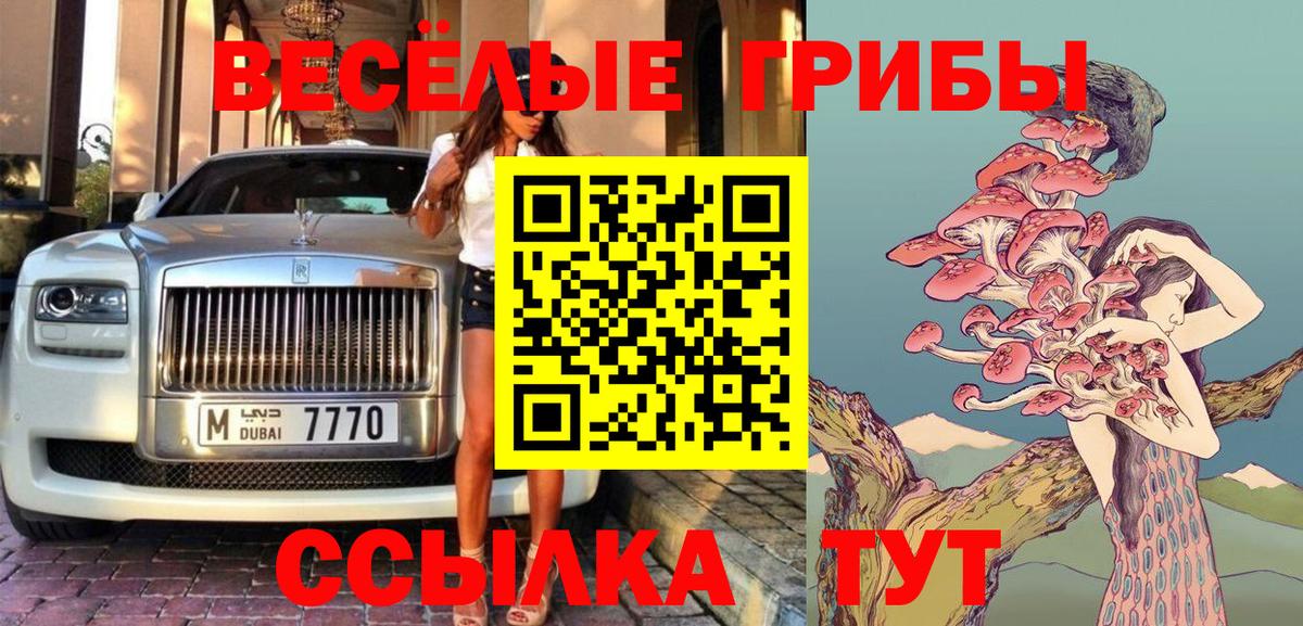 Междуреченск  Псилоцибиновые грибы ЛСД  продажа наркотиков  Вход с VPN 